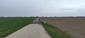 sokol lastovičiar (30.3.2023)