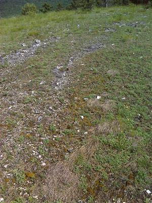 Záber na monitorovaný biotop.