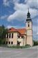 netopier pozdný / večernica pozdná (15.6.2013)