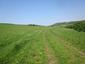 svrčiak zelenkavý (20.5.2023)