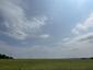 trasochvost biely (26.5.2023)