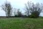sova lesná (obyčajná) (17.4.2023)