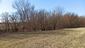 sova lesná (obyčajná) (4.3.2023)