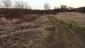 sova lesná (obyčajná) (3.5.2023)