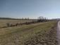 sova lesná (obyčajná) (1.4.2023)