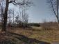 sova lesná (obyčajná) (1.4.2023)