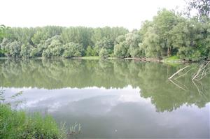 Malý Dunaj - Kolárovo