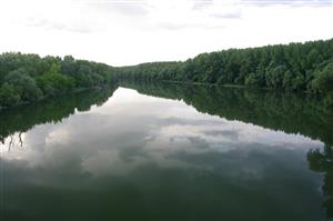 Malý Dunaj - Kolárovo