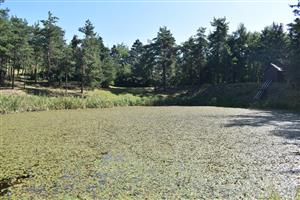 Celkový pohľad na monitorovanú lokalitu.