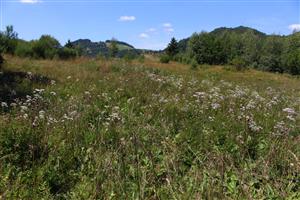 pohľad na lokalitu smer východ