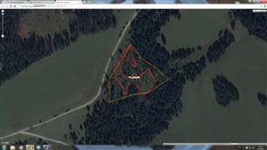Upravena hranica TML 7140_033