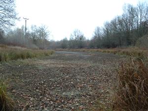 Leles, rameno Berkés