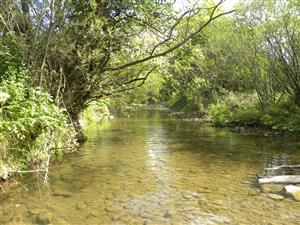 Zaciatok TML proti prudu