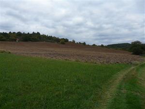 Horné Jabloňovce - rozoraná časť lúky