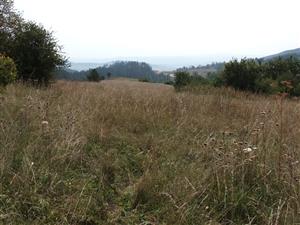 Pohľad na nekosenú plochu