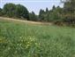 Pohľad na biotop, časť kosená, časť nevyužívaná
