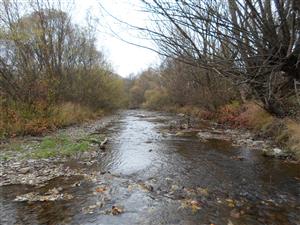 Zaciatok TML po prude