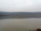 chochlačka vrkočatá (14.1.2023)