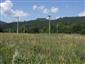 Nížinné a podhorské kosné lúky (26.6.2014)