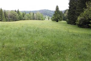 celkový pohľad na TML