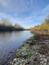 chochlačka sivá (15.10.2022)