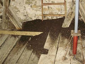 znečistenie guánom