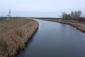 hlaholka severská (13.11.2022)