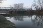 chochlačka vrkočatá (18.3.2023)