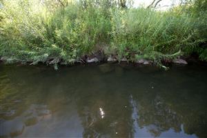 plocha 10 m2 v rámci TMP1 na ktorej boli podrobne prehľadané všetky úkryty