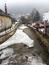 chochlačka vrkočatá (19.3.2023)