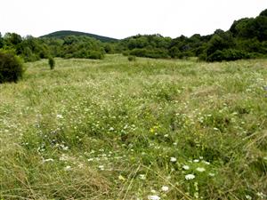 pohlad smerom na vychod