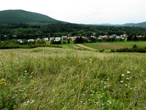 pohlad z lokality na obec Kamienka