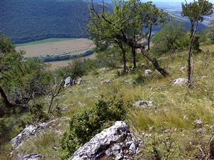 Záber na monitorovaný biotop.