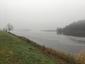 Beluša veľká (14.1.2023)