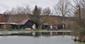 Potápka hnedá (malá) (18.2.2023)