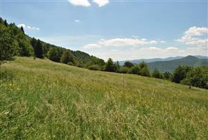 pohlad na lokalitu 2