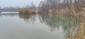 Potápač malý (14.1.2023)