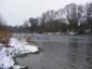 rybár ( čorík) bahenný (15.1.2023)