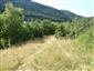 Suchomilné travinnobylinné a krovinové porasty na vápnitom podloží (*dôležité stanovištia Orchideaceae) (15.7.2013)