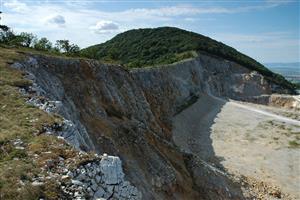 Biotop tvorí úzky pás pri hrane lomu
