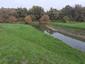Potápka hnedá (malá) (18.2.2023)