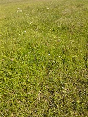 pohľad na lokalittu