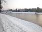 Potápka hnedá (malá) (18.2.2023)