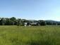 trasochvost biely (12.6.2023)