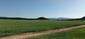 Včelár lesný (včelár obyčajný) (12.6.2023)