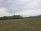 krkavec čierny (15.6.2023)