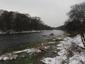 kršiak rybár (rybožravý) (12.11.2022)