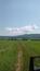 haja červená (9.6.2023)