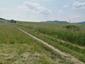 krkavec čierny (20.6.2023)