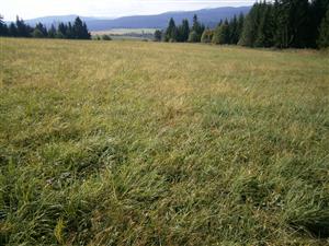 Záber na lokalitu – južná časť